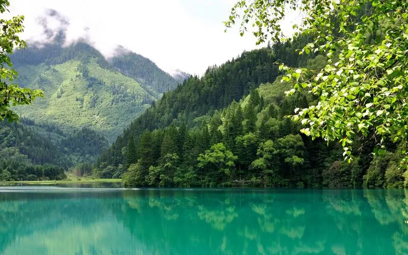 可靠性稳定性